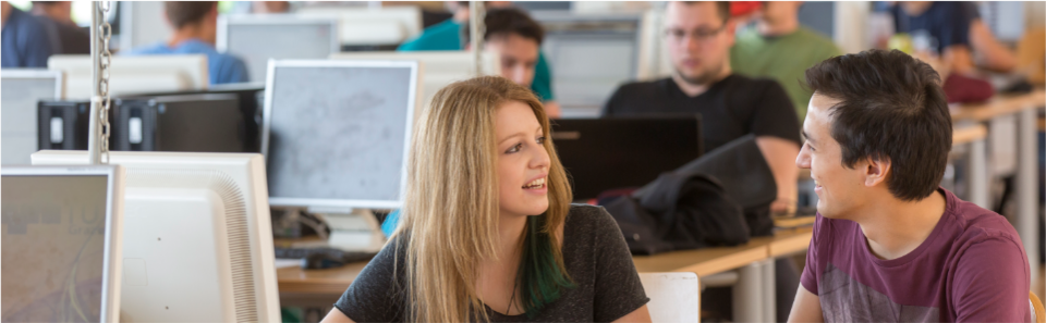 Accessibility Test - alt-Tag des Bildes soll ausgelesen werden 